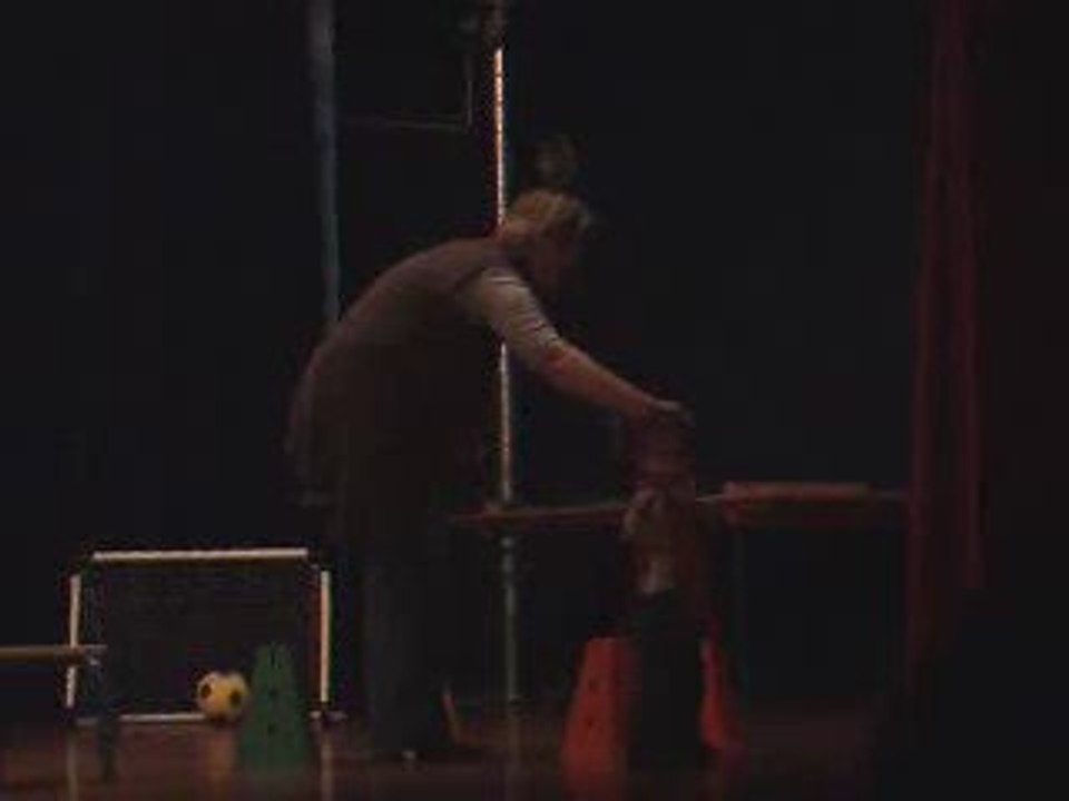 20061512_noel_ptichou