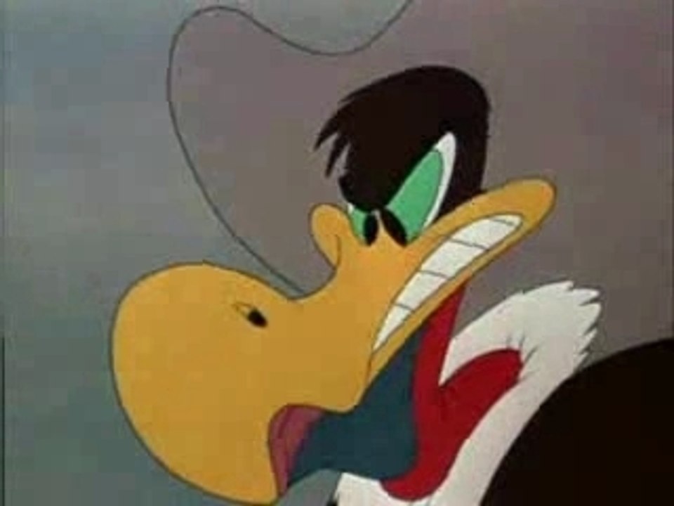 Wild and Woody 1