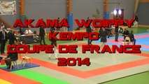 COUPE DE FRANCE  KEMPO 2014 . tournoi -75kg