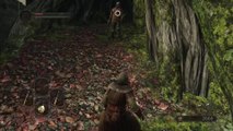Dark Souls 2 Gameplay Walkthrough Part 4 Forest of Fallen Giants