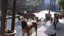Be Aware G's @ The Pack