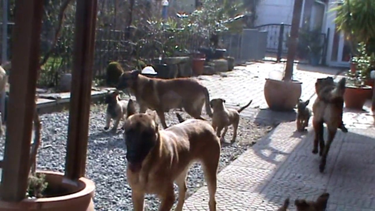 Be Aware G's @ The Pack