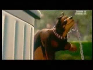 Nos Voisins, Les Hommes - Bande annonce