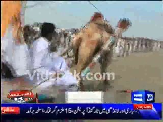 Rahim Yar Khan me hui pehalwano ke darmiyaan thapron ki kushti