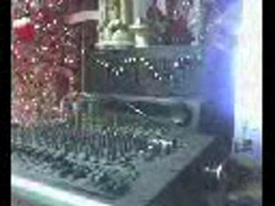 tamon mix