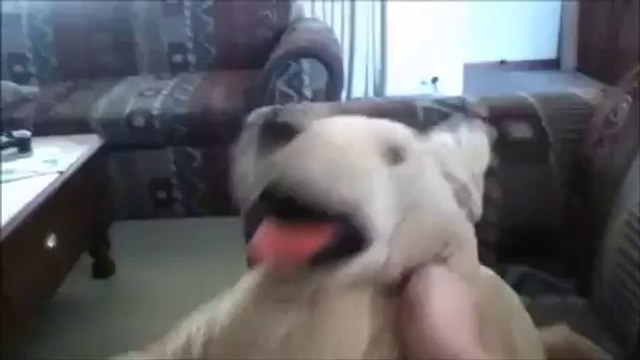 Home Sweet Home Motley Crue Cover by Ponco