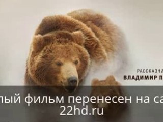 Земля медвед_cut