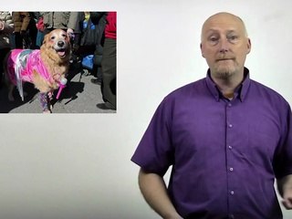 What factors make the US Pet business work so well?