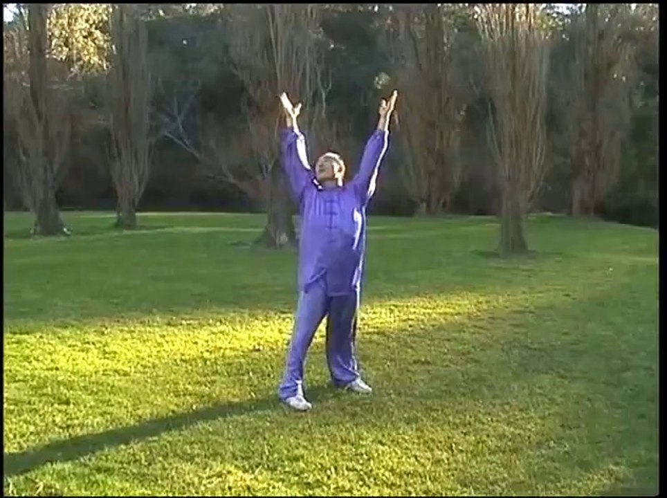 Qi Gong des 5 éléments