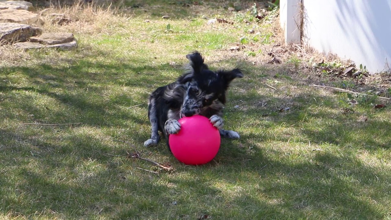 Layka 09-03-2014