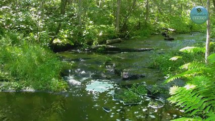 Сурат «Ан-Нисаъ» 122 аятан маьIна | Ахьмад Хьамза