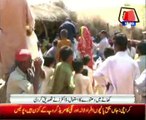 The people of Thar datura (Toxic Plants) forced to eat