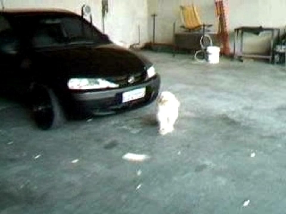 Imagem 004
