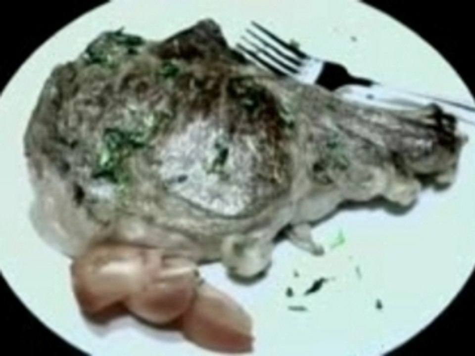 xzibit - concentrate