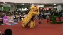 Amazing Yellow Lion Dance Show