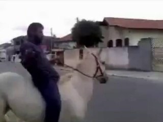 o bevado e o cavalo, muito bom