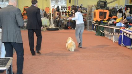 Донецк март 2014 069