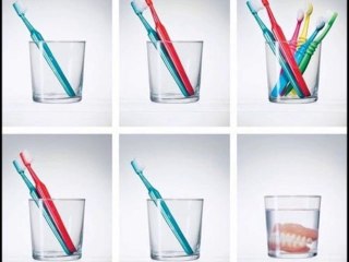 Order of Life by The Electric Trunk