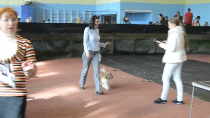 Донецк март 2014 066