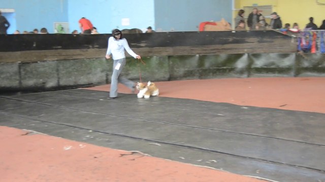 Донецк март 2014 068