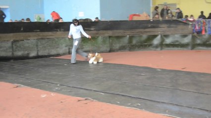 Донецк март 2014 068