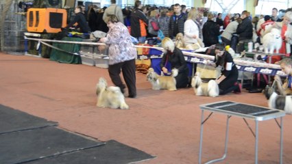 Донецк март 2014 072