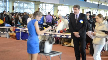 Донецк март 2014 074