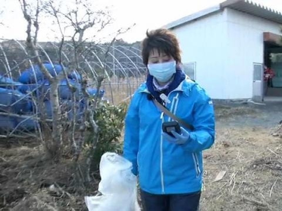 Fukushima: près de la centrale, des Japonais reviennent pour s'occuper de la zone interdite - 10/03