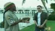 Scott storch