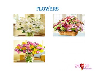 Gifting Idea For Women’s Day