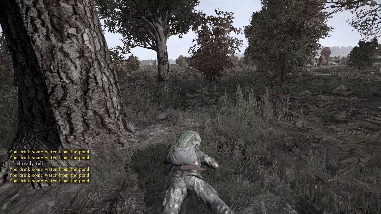 Lets Play DayZ Standalone Alpha # 17 (Deutsch) - Was machen wir jetzt «» DayZ | HD