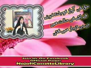 حق کی آواز بلند کرنے کے لیئے کن حالات میں بی بی دربار میں گئی