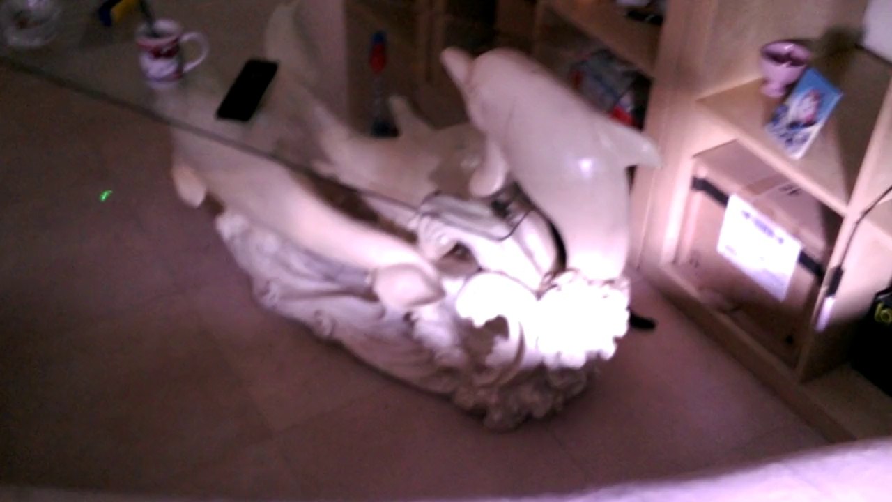 Un délire ce matin en musique et deviné j écoute quoi ? avec mon chat Dodger !!