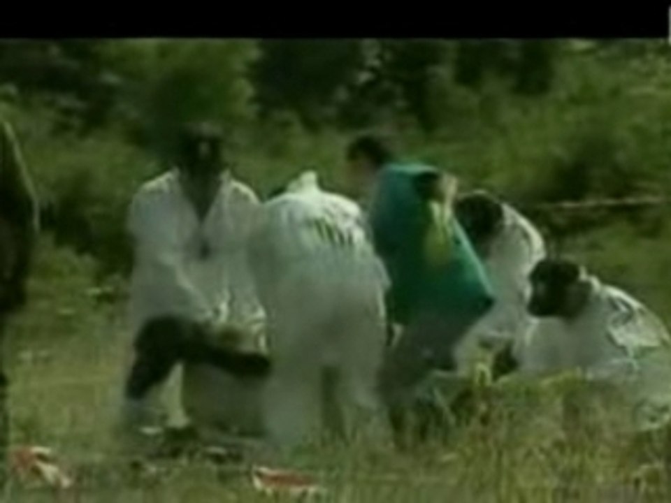 La guerre des mouches