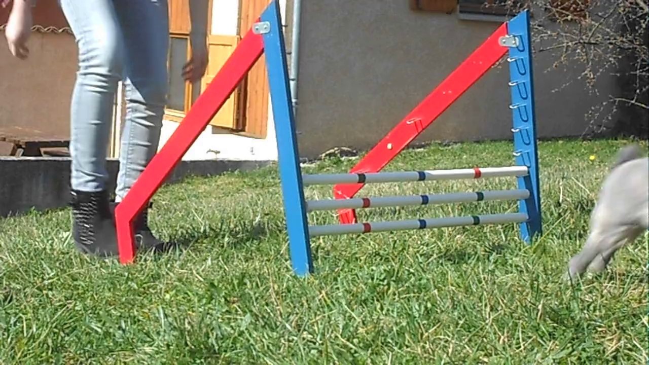 [Kaninhop]Puissance avec Bella !