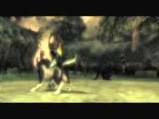 zelda Tp : Wii Games