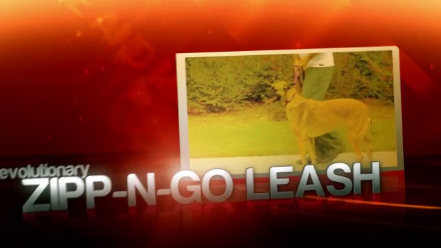 Best Dog Leashes Available Online