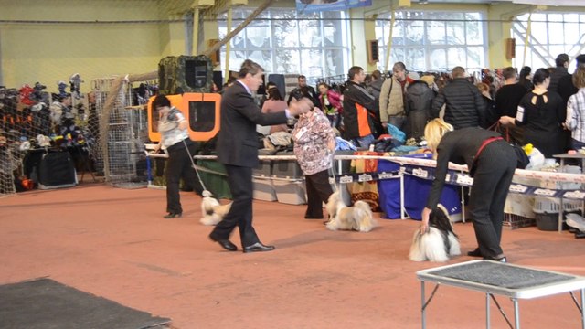 Донецк март 2014 086