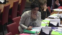 Question à Mme Pervenche Bérès, Pdte de la Commission de l'emploi et des affaires sociales du Parlement européen (27 novembre 2013)
