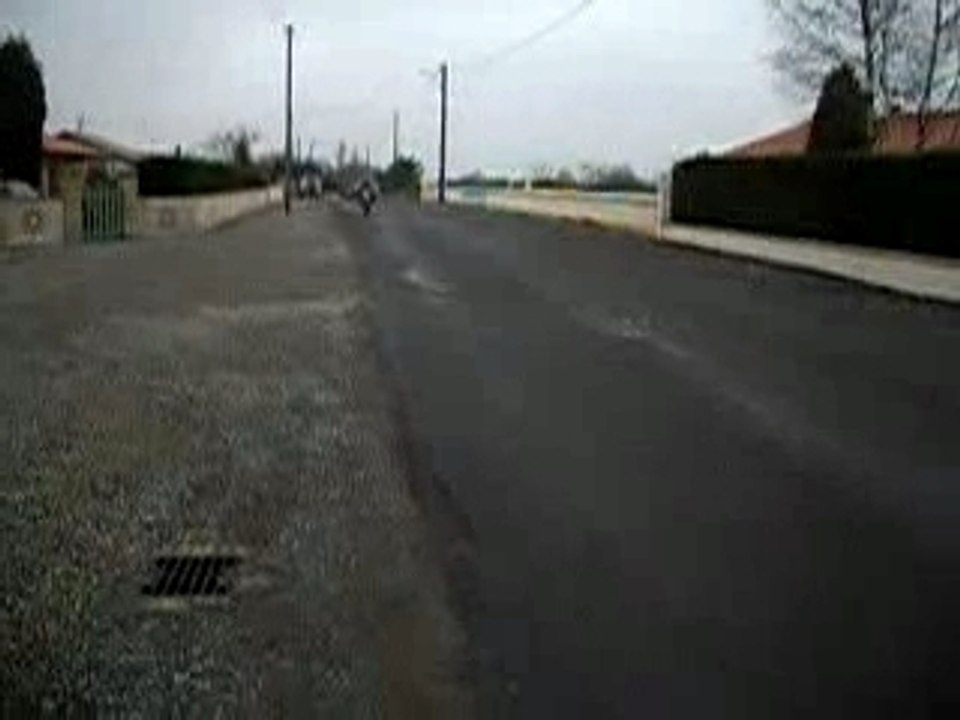 IMGP3544