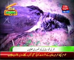 Pics Review of Tharparkar drought