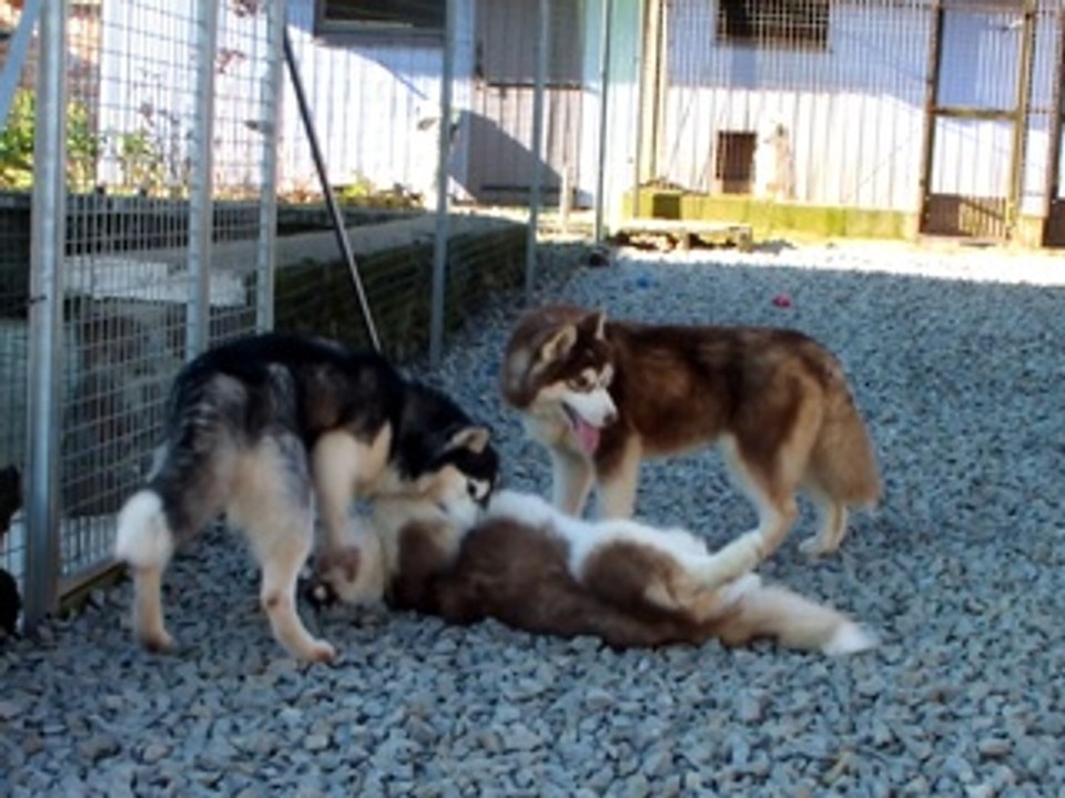 sisters and mother playing :)