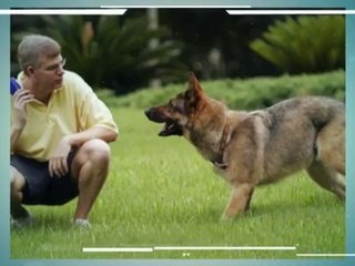 Waggin's West Dog Training and Behavior Consulting, LLC (303) 718-7705