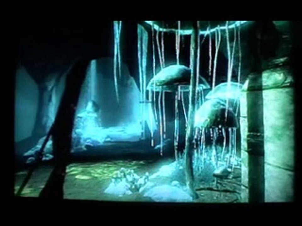 Aperçu Skyrim (PS3)