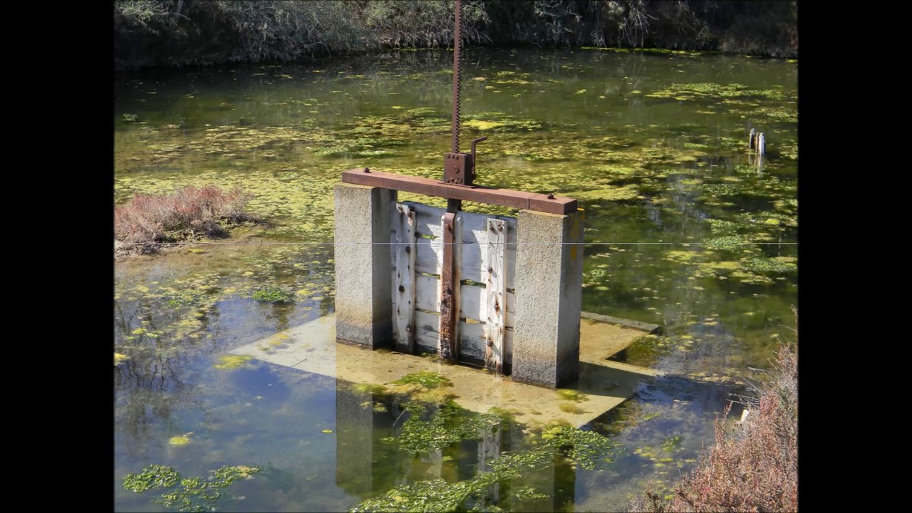 RANDO SUR LE LITTORAL AUDOIS - PRES DE NARBONNE