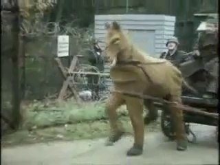 i video più divertenti del web!