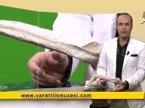 Fosil filmler Pelikan gagasi