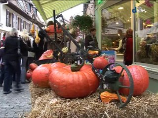 DH 2009 - SEM 45 Actu fete de la citrouille
