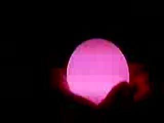 What would you pay for a 3 pack of these eggs ?