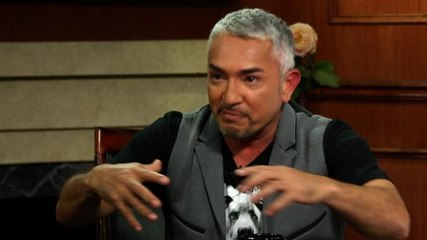 Cesar Milan On How Dogs Process Grief